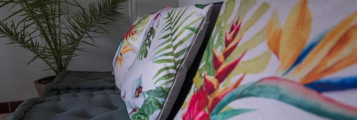 La Cahute, Appartement T2 Avec Jardin Ou Appartement Familial T6 Montauban Luaran gambar